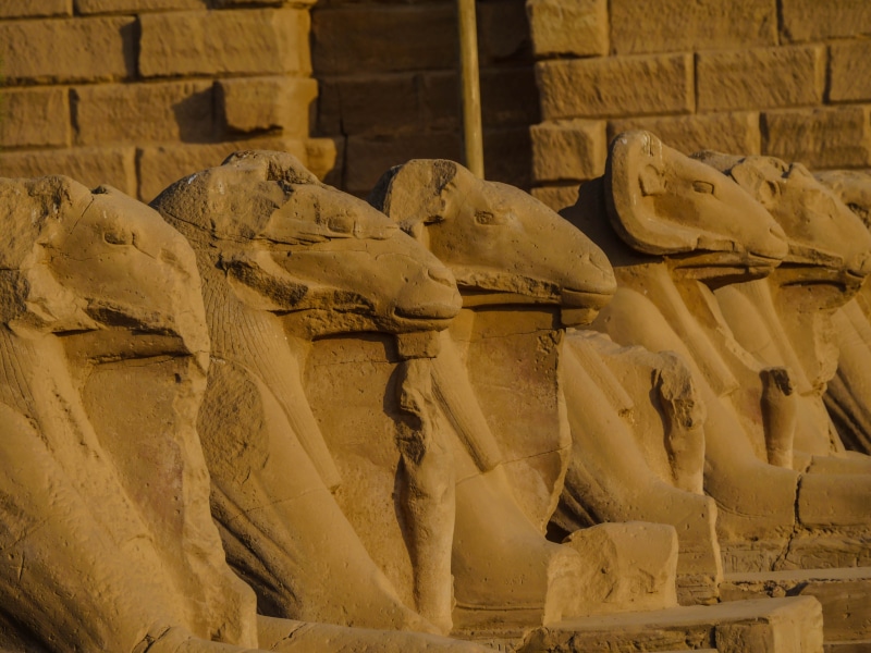 religion, civilization, antiquity, ruins, art, antique, egypt, history, large group of objects, no people, 5K, architecture, sculptor, ancient, head, ram head