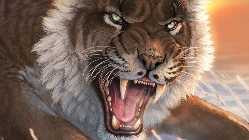 lions, beauty, big cats, cats, wildlife, animals, fangs, cubs, saber tooth tiger, fearful, 1080P, tiger, nature