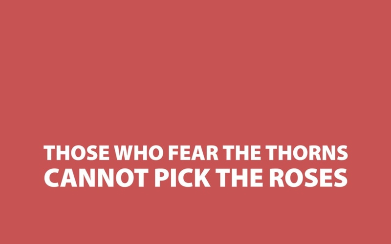 no people, warning sign, studio shot, roses, quote, script, close-up, copy space, communication, simple background, thorns, fear, western script, healthcare and medicine