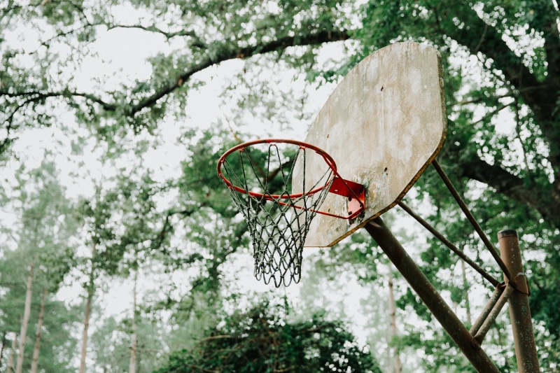 brown, shape, sport, basketball, geometric shape, hoop, 1080P, net - sports equipment, basketball Hoop, branch, focus on foreground, tall, angle, tree