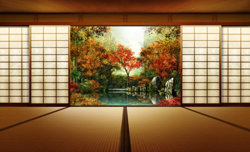 garden, plant, glass - material, wall - building feature, autumn, building, tree, change, pattern, shoji, door, growth, window, flooring, painting, trees