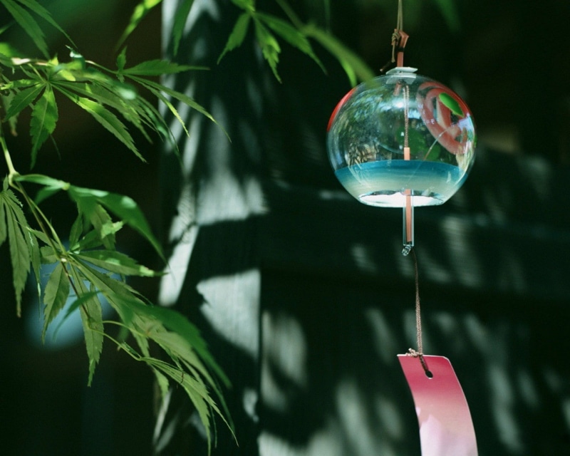 leaf, green color, water, focus on foreground, outdoors, sphere, day, no people, plant part, transparent, hanging, reflection, wind chimes, nature, holding