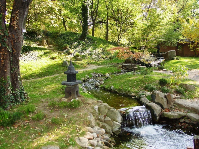 forest, field, rock, nature, land, Japanese Garden, grass, growth, real people, tranquility, green, outdoors, motion, day, rock - object, flowing water