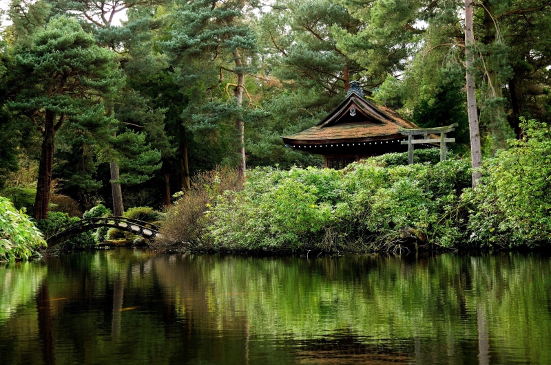 no people, tranquility, tree, green color, forest, building exterior, 2K, day, waterfront, architecture, plant, beauty in nature, lake, built structure