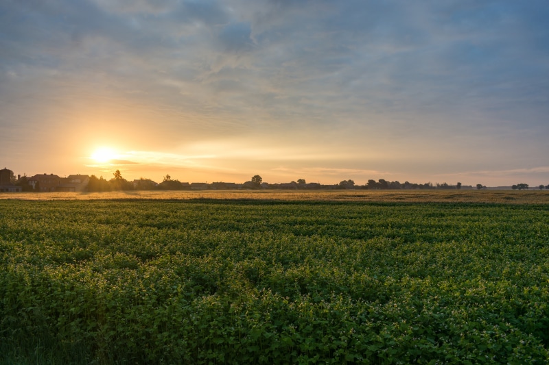 Poland, outdoors, tranquility, nature, landscape, field, tranquil scene, sunlight, village, agriculture, sun, sunrise, orange color, rural scene, growth