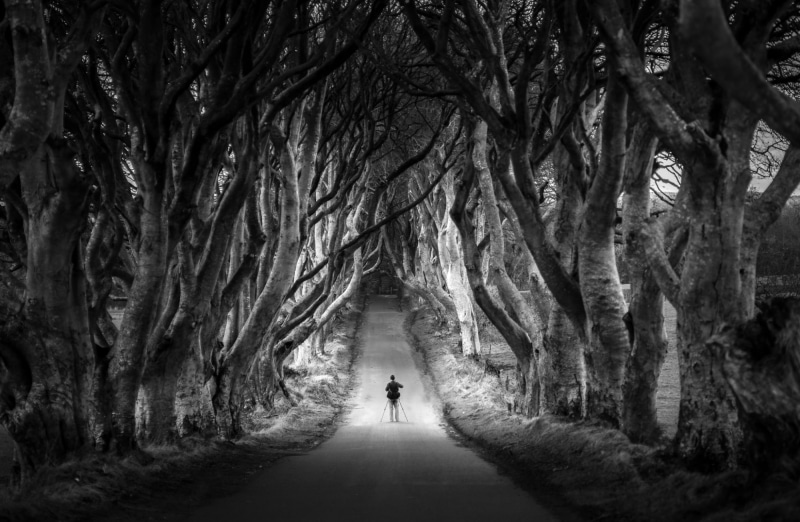 Vacation, 1080P, Mysterious, ghostlegend, Photographer, Northern, hedges, Europe, DarkHedges, Beech, Avenue, Spooky, visit, blackandwhite, Halloween, Road