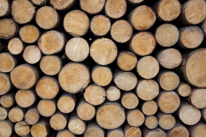 forest workers, brown, timber, paper wood, pattern, spruce, background, tree, stacked up, heat, panel, textured, beech, holzstapel, oak, woodworks, full frame