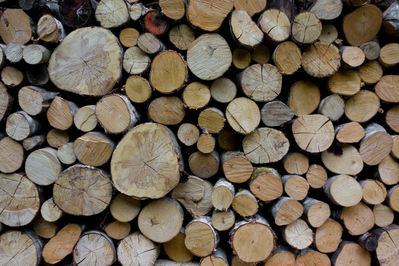 log, wood, growing stock, oak, combs thread cutting, tree trunks, tree ring, paper wood, strains, timber, paper, environmental issues, forest workers, lumber industry