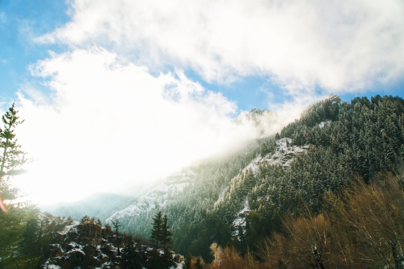 forest, outdoors, pine Tree, pine woodland, daytiem, tranquil scene, nature, mountain Range, day, trees, plant, growth, tree, cloud, winter, scenics, snow