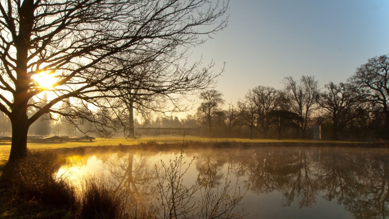 water, landscape, winter, silhouette, reflection lake, trees, 1080P, tranquility, lake, plant, sky, sunset, beauty in nature, idyllic, bare tree