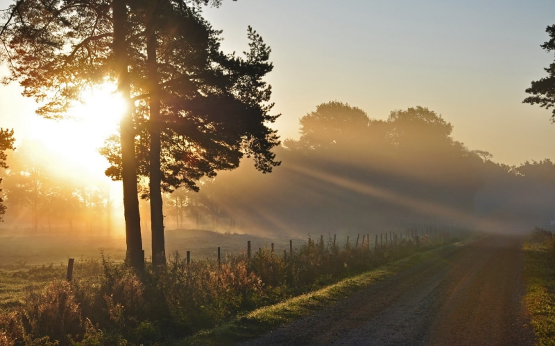 lens flare, sunlight, sunset, sun, sky, no people, non-urban scene, dappled sunlight, pathway, outdoors, plant, tranquility, land, tree, road, environment