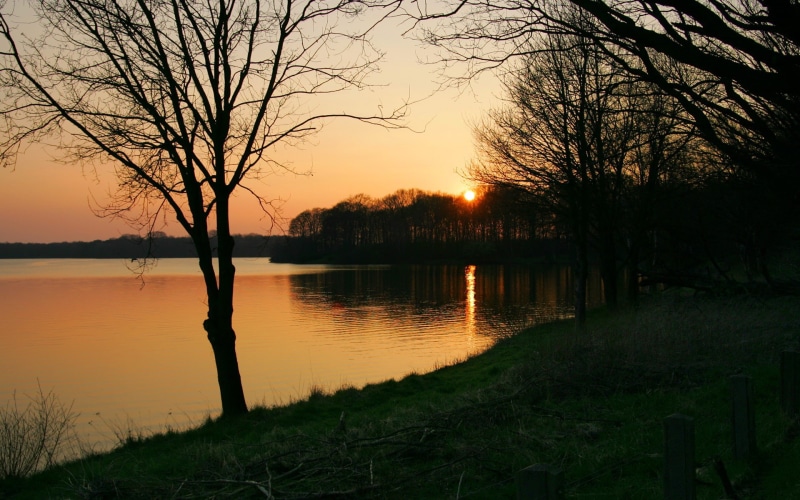 landscape, lake, sunset, 1080P, trees, dappled sunlight