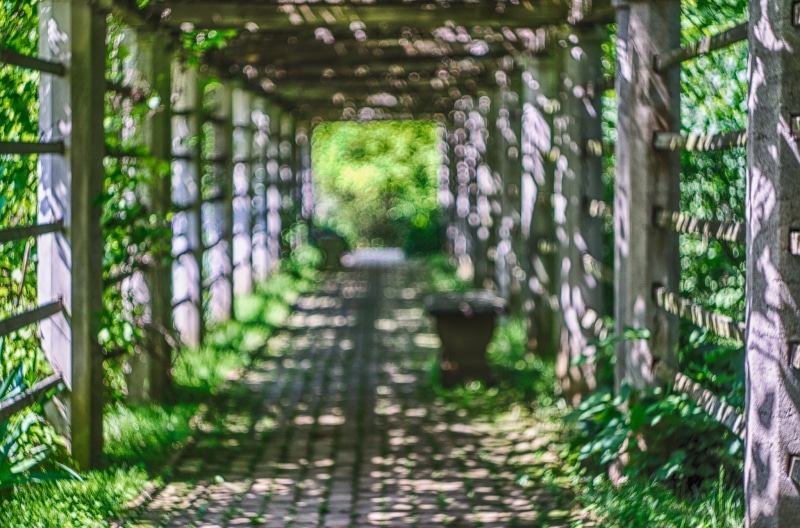 garden, bokeh, flowerpot, 1080P, sunlight, gates, plants, dappled sunlight, landscape, path