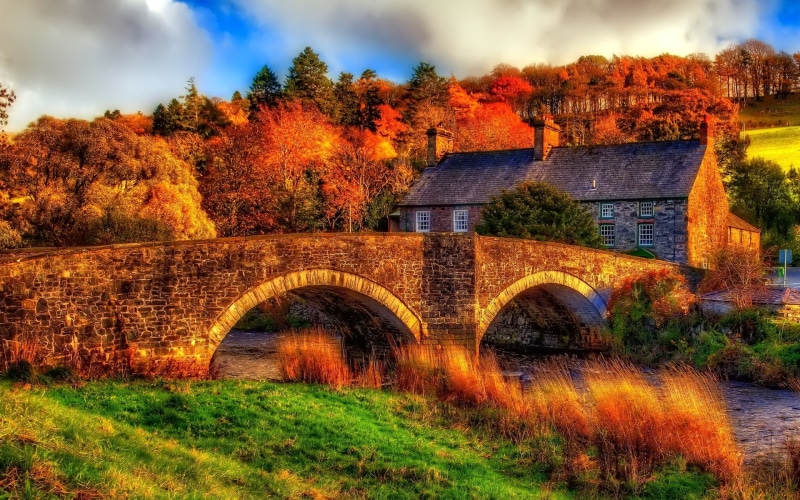 Bridge, Scenery, 1080P, House, HDR, Autumn, River, Trees