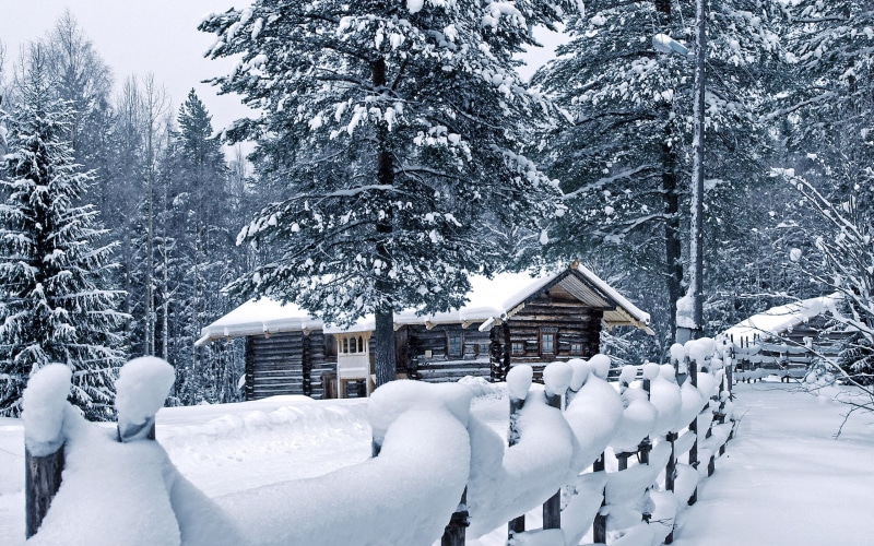 forest, fence, hd, nature, 2K, trees, cabin, winter, snow