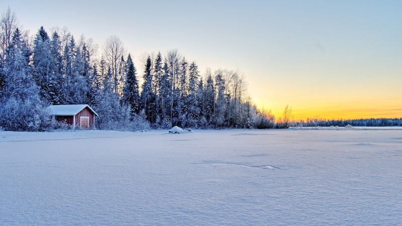 forest, nature, hd, house, winter, snow, trees, cabin, 2K