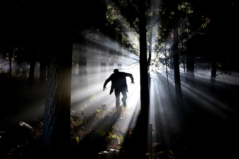 woods, human, cape, figure, monster, lifestyles, crepuscular, eery, tree trunk, tree, silhouette, full length, passing, ominous, hidden, broody, nosferatu