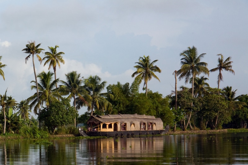 nature, coconut palm tree, day, palm Tree, cloud - sky, india, plant, houseboat, kerala, lake, built structure, no people, tree, reflection, building exterior