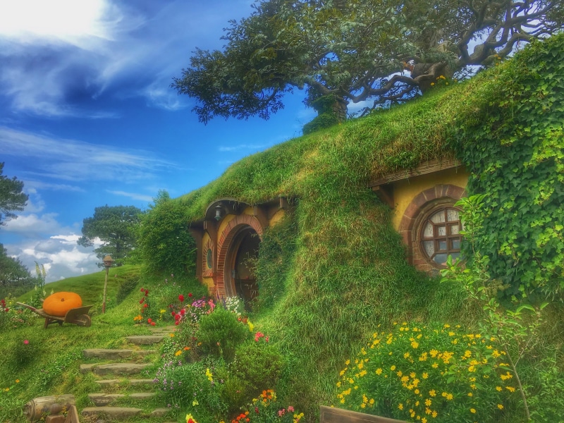 flowers, forest house, new zealand, petaled, representation, built structure, cloud - sky, no people, tranquility, building, building exterior, green color