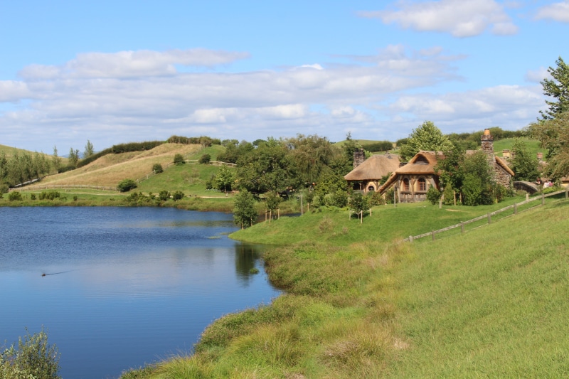 tourist, tree, nice weather, built structure, day, flora, scenics, scenics - nature, near, outdoors, cloud - sky, lord who rings, thatched roof, rotorua