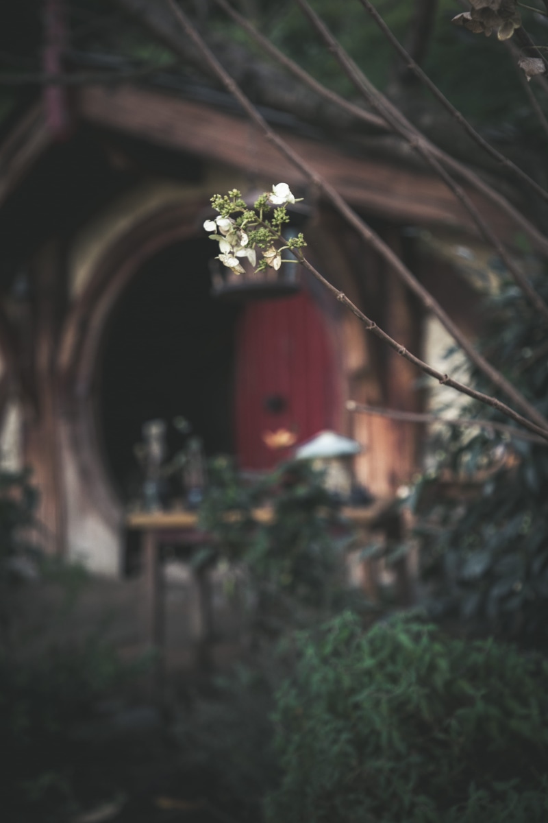 built structure, human representation, day, architecture, belief, new zealand, outdoors, 5K, adventure, hobbit, movie, plant, growth, hobbit hole, tree