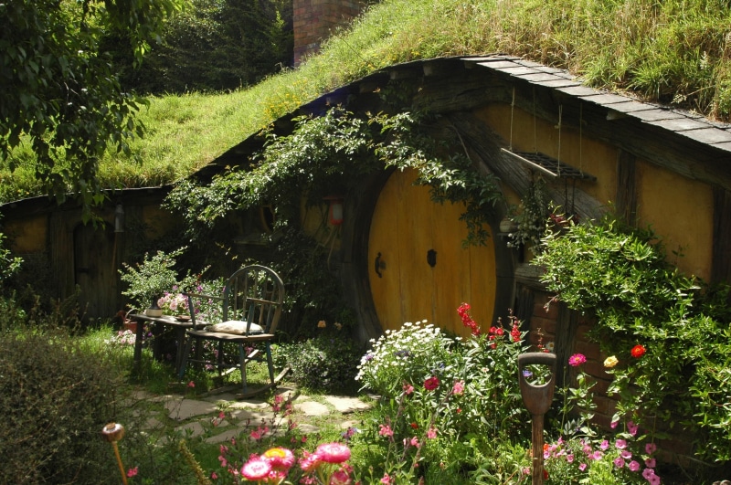 plant, flowering plant, beauty in nature, growth, 2K, hobbit, garden, green color, no people, flower, s, new zealand, building exterior, house, green