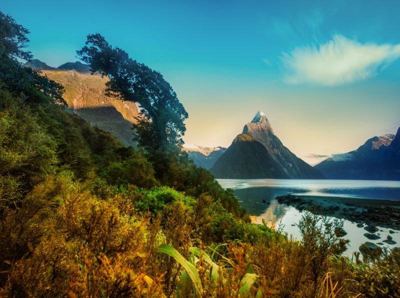 Scenic, growth, 2012, sky, Wilderness, Island, Digital, unescoworldheritagesite, tewaipounamu, Pacific, nikond800, 5K, Zealand, greenstone, Plants, Sound