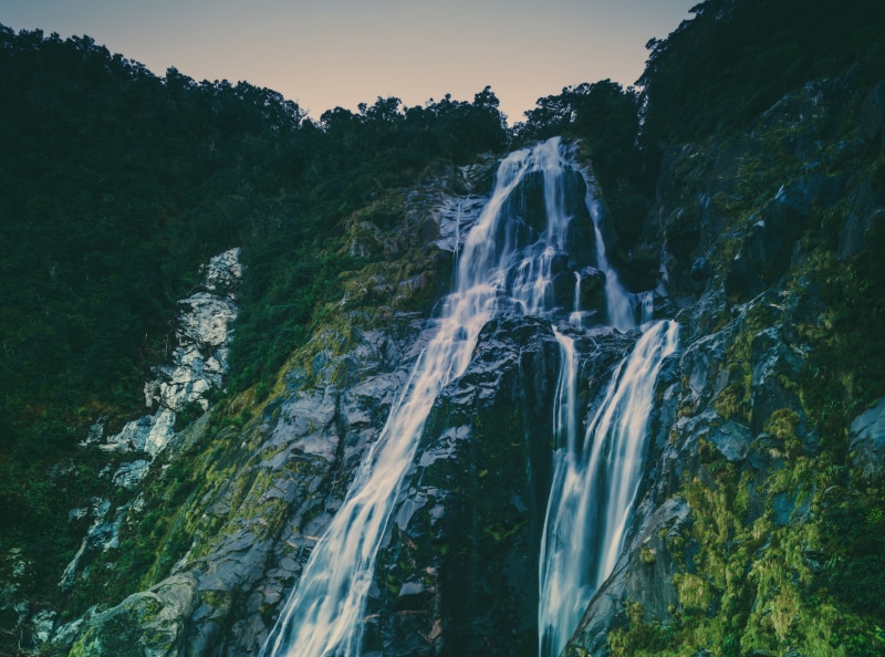 Beautiful, flora, Water, outdoors, UNESCO World Heritage Site, 4K, Range, Sound, Wilderness, plant, scenics - nature, High, rock, Falls, environment, aotearoa