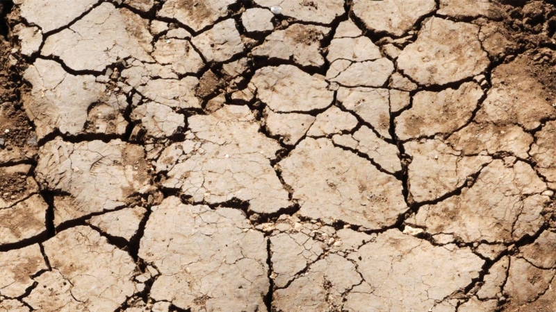 mud, textured, barren, drought, dry, nature, backgrounds, land, crack, full frame, ground texture, climate, extreme terrain, ground, cracked, desert, pattern