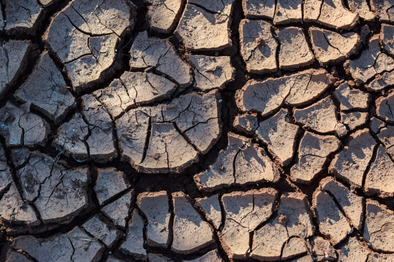 dry, cracked, nature, mud, desert, sunlight, field, crack, high angle view, arid, no people, full frame, aridity, rough, climate, outdoors, close-up, aridness