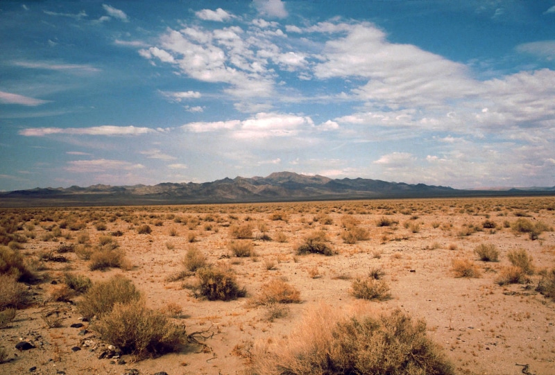 Desert, United States, photos, day, plant, no People, field, park, mountain, environment, valley, outdoors, tranquility, nature, beauty In Nature, arid Climate