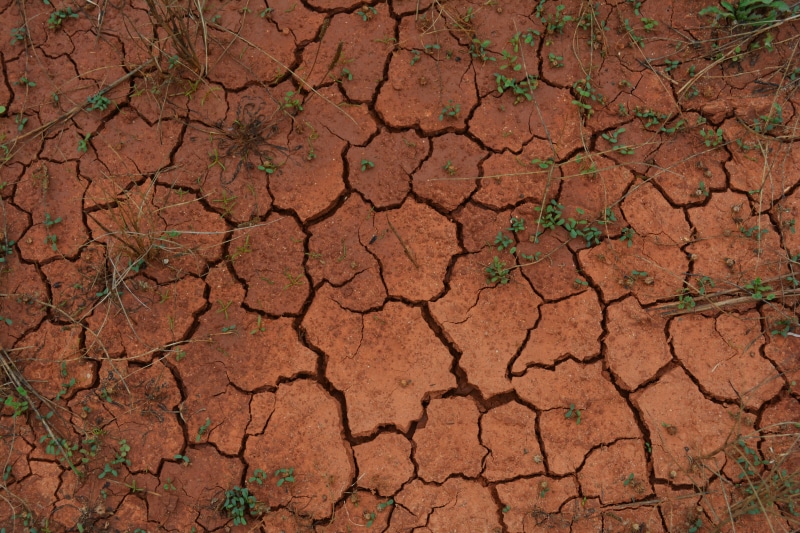 desert, day, dirt, dry, extreme terrain, green, mud, outdoor, textured, natural Disaster, ground, no people, drought, pattern, full frame, brown, heat - Temperature