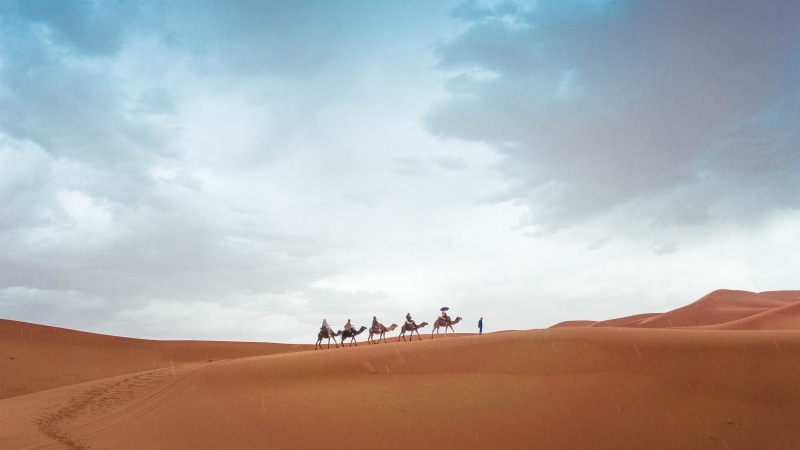 women, dry, camel, travel Destinations, rural Scene, sand Dune, copy Space, sahara Desert, summer, sand, people, scenics, landscape, camel ride, africa