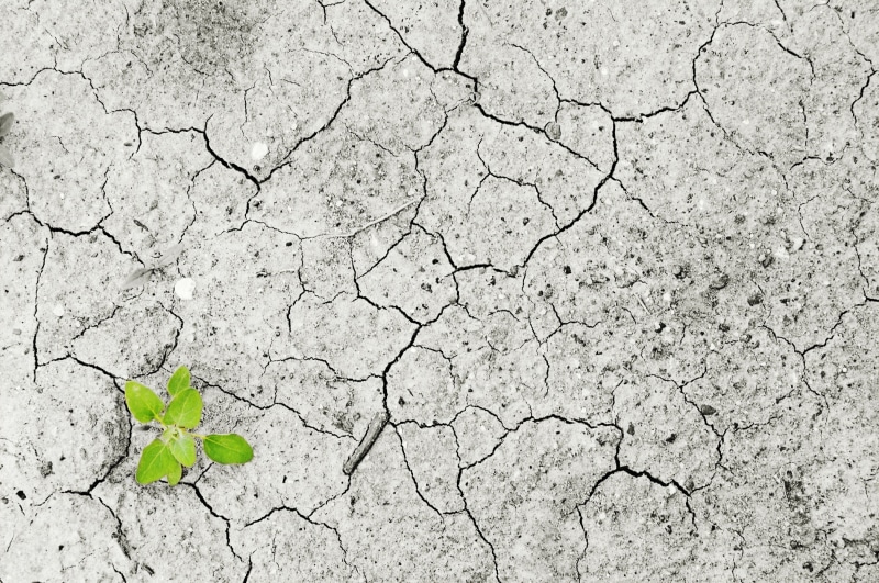 drought, damage, ground destruction, backgrounds, desert, abstract, high angle view, warming Up, land, nature, textured, live, day, mud, monocultures, dirty