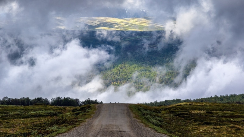 direction, scenics - nature, 1080P, tree, land, outdoors, day, no people, environment, water, plant, transportation, landscape, road, Scotland, rain, the way forward