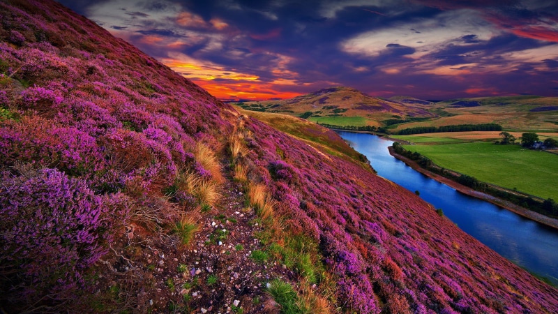 landscape, hills, UK, water, grass, clouds, sunset, trees, Pentland Hills, river, nature, Scotland, 1080P, flowers