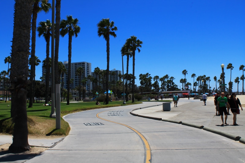 men, plant, palm tree, santa monica, tree, 4K, palms, walking, beach, group of people, city, blue, sky, pavement, clear sky, concrete, cycle track, leisure activity