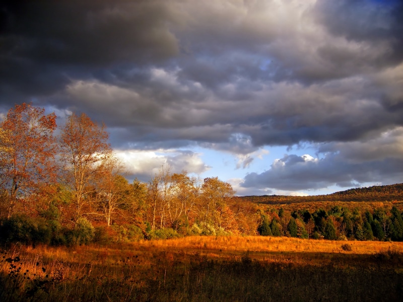 cloud - Sky, rural, low angle, Delaware Water Gap National Recreation Area, creative commons, landscape, tree, 2K, scenics, field, trees, season, white