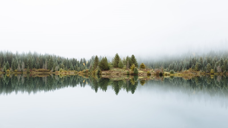 photo, landscape, f/2, World  landscape, tree, water, outdoors, fog, USM, mountain, Leaders Of The  World, Gold Creek, trees, Canon EOS 5D Mark III, 5K