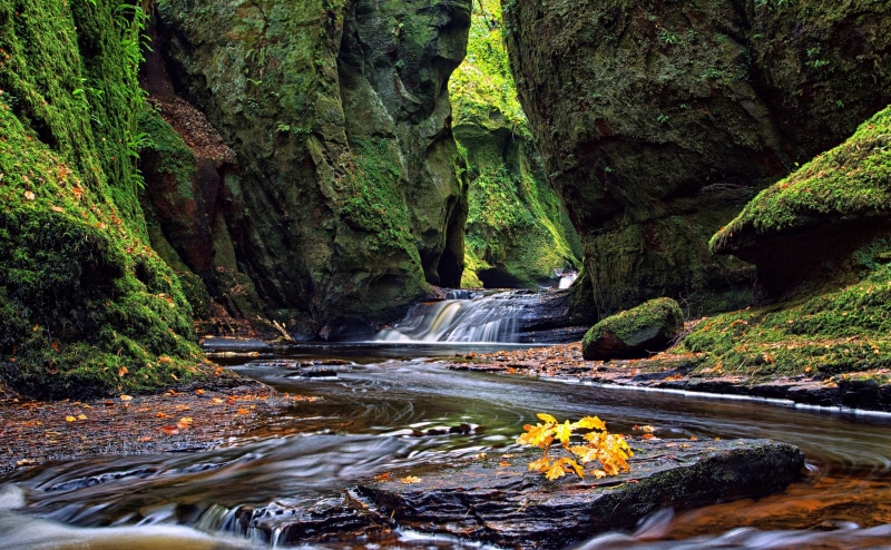 glen, stream - flowing water, plant, land, waterfall, rainforest, Outdoors, water, Europe, tranquility, scenics - nature, non-urban scene, Scenery, Beautiful