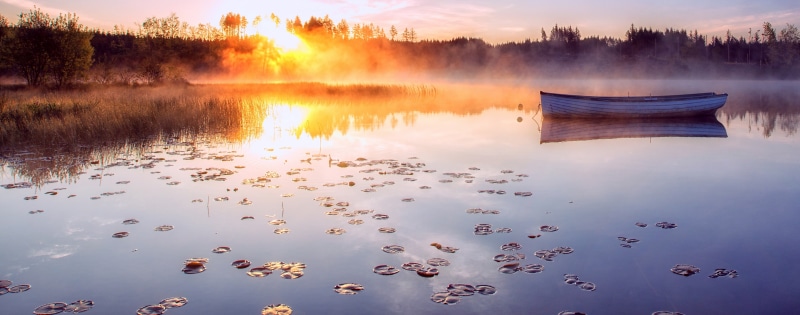 morningmist, Outdoors, change, tree, astonishing, beauty in nature, trossachs, tranquil scene, Outstanding, lochrusky, scenics - nature, remarkable, Amazing