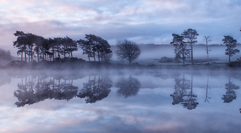 fog, Amazing, 2K, United Kingdom, tranquility, Trees, no people, environment, Landscape, non-urban scene, mist, stunning, Nature, Scenery, Impressive