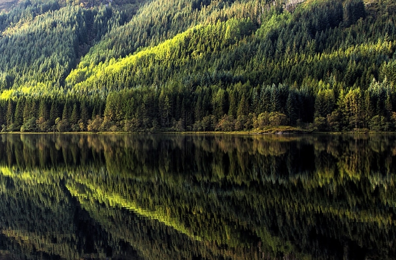 Peaceful, chon, stunning, Scenery, Landscape, Nature, lochchon, pinetrees, Forest, astonishing, trossachs, Calm, Trees, 2K, loch, Scotland, remarkable