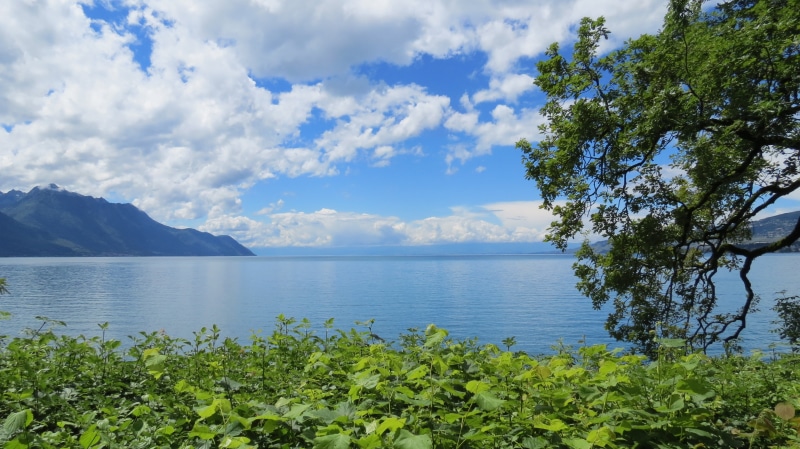 relax, mountains, outdoors, lake geneva, water, nature, sky, near, growth, idyllic, place, tranquility, relaxation, 4K, tranquil, green, beauty in nature