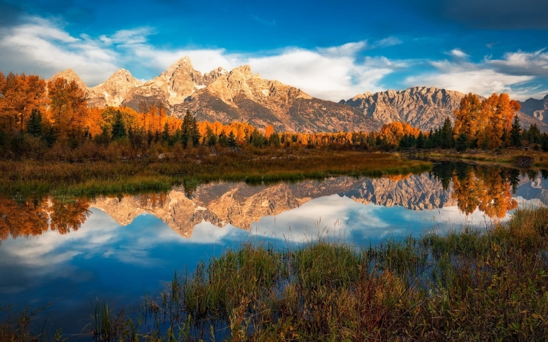 trees, outdoors, nature, colorful, idyllic, green, autumn, reflection, reflection lake, beauty in nature, leaf, morning, tree, fall, cloud - sky, 1080P