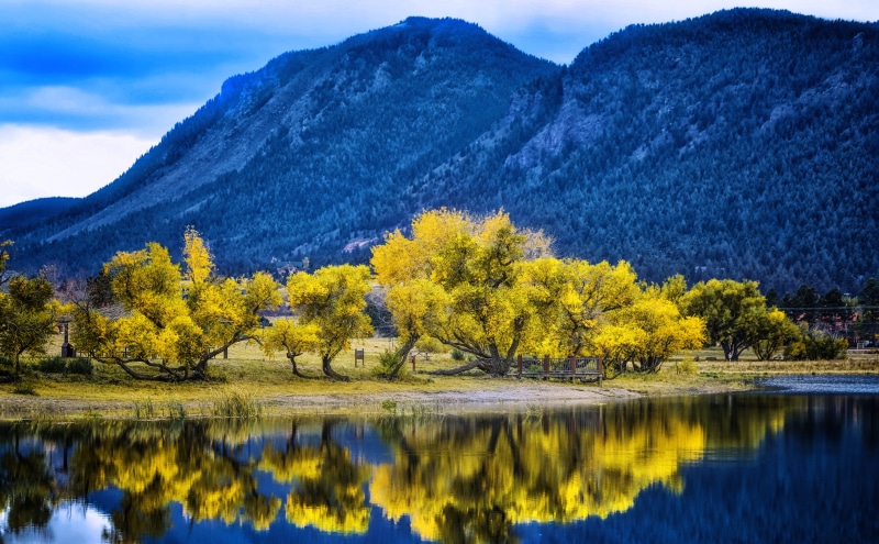 Autumn, change, View, 5K, Palmer, Travel, visit, Trees, Photography, tourism, mountain range, Blue, non-urban scene, Colors, yellowtrees, Nature, Colorado