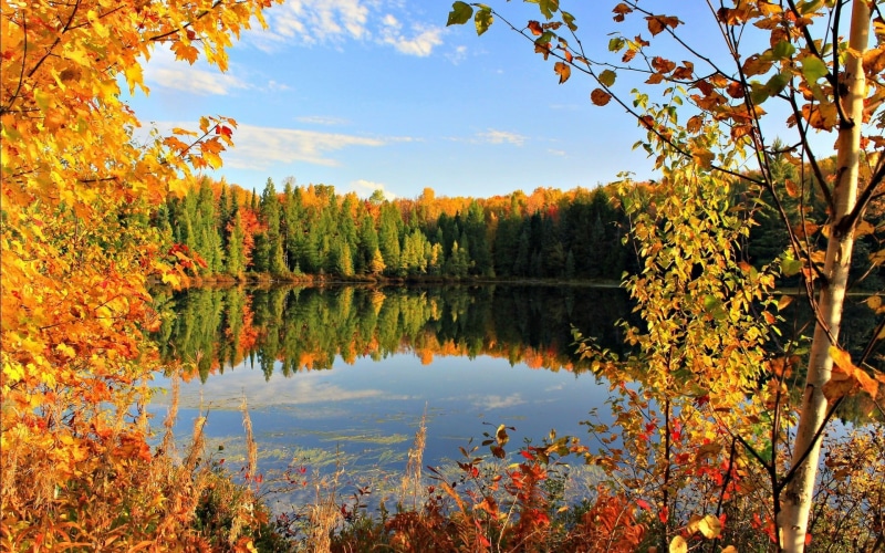 multi Colored, blue, tranquil Scene, river, landscape, water, park - Man Made Space, gold Colored, tree, autumn, forest, orange Color, non-Urban Scene