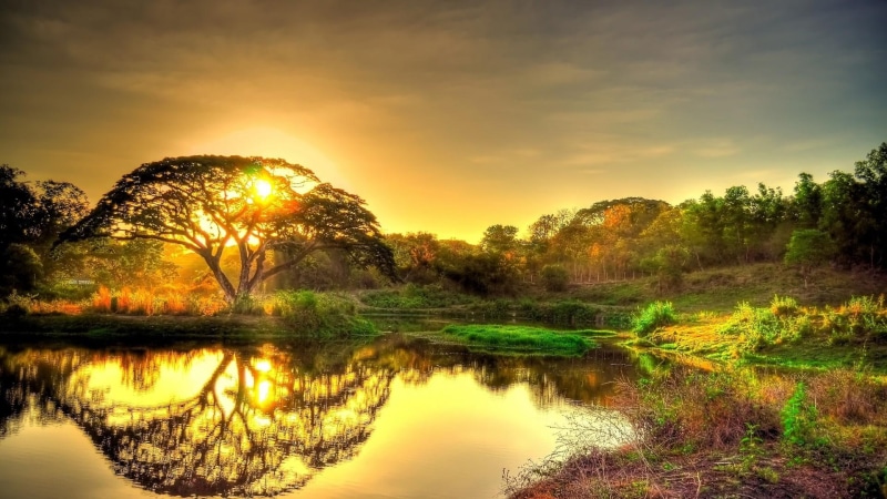 landscape, sky, sunlight, pond, reflection, sun, green, bank, water, nature, beautiful, reflected, dawn, sunrise, lake, stunning, morning, 1080P, tree