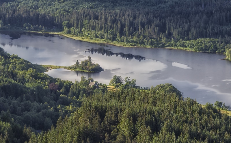forest, Scotland, water, plant, lochachray, non-urban scene, Nature, Europe, tree, idyllic, tranquil scene, coniferous tree, woodland, Kirk, day, pine tree