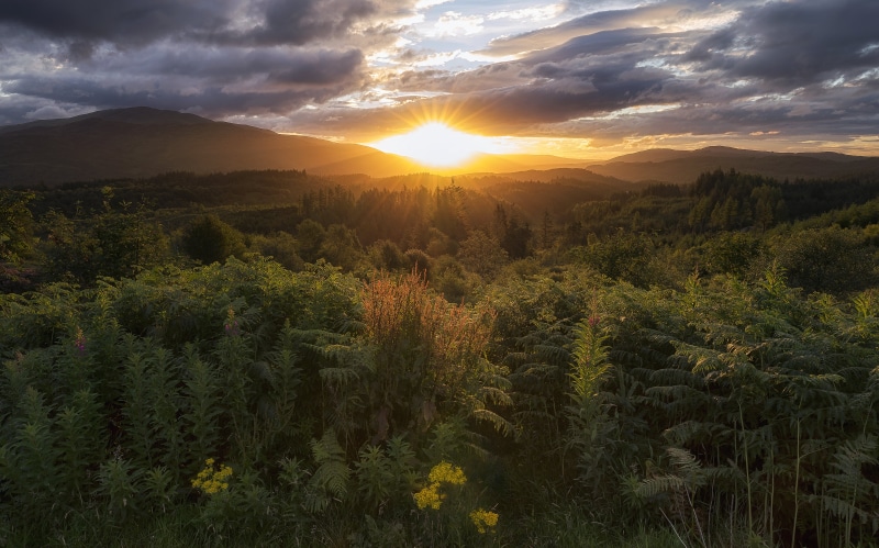 Dukes, mountain, summer, nature, Duke, outdoors, forest, 5K, tree, sunset, over horizon, Trossachs, landscape, scenics, Scotland, sky, Sunrise, horizon